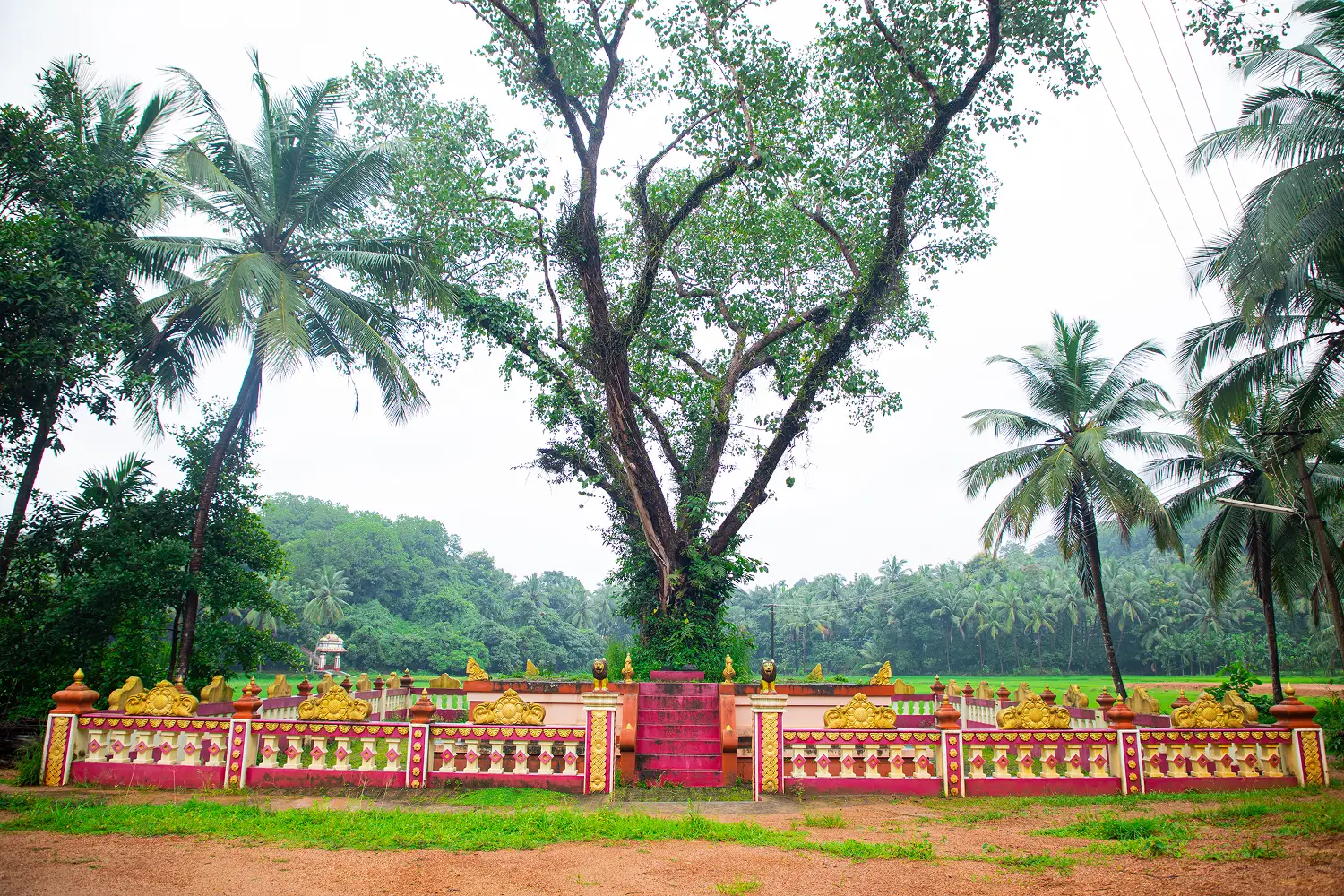 ಶ್ರೀ ದೈವಗಳ ಅಶ್ವಥ್ಥ ಕಟ್ಟೆ
