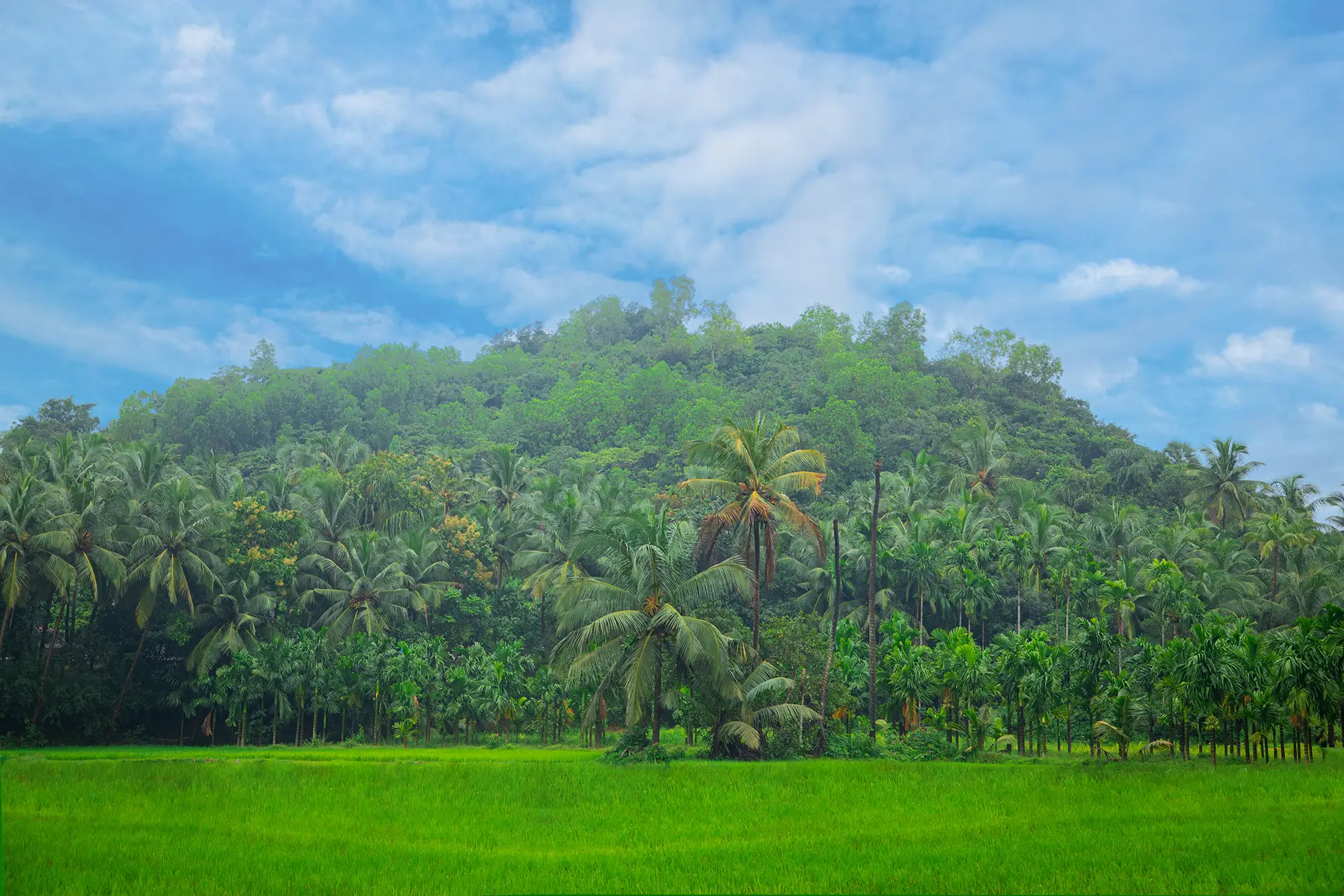 ಉಕ್ಕೂರುದ ಗುಡ್ಡೆ